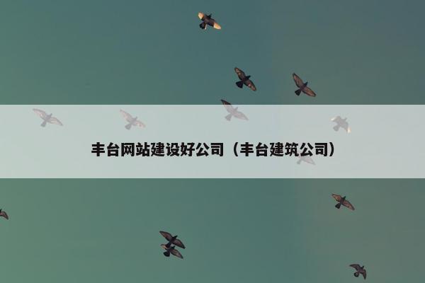 丰台网站建设好公司（丰台建筑公司）