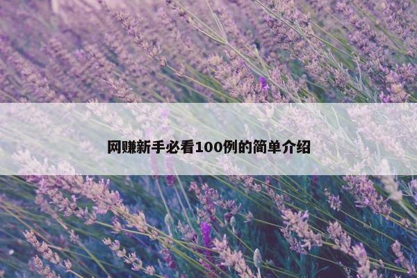 网赚新手必看100例的简单介绍