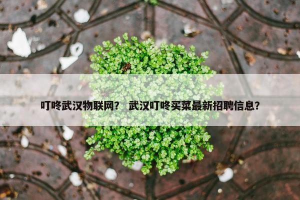 叮咚武汉物联网？ 武汉叮咚买菜最新招聘信息？
