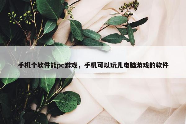手机个软件能pc游戏，手机可以玩儿电脑游戏的软件