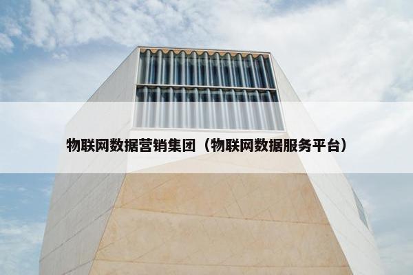 物联网数据营销集团（物联网数据服务平台）