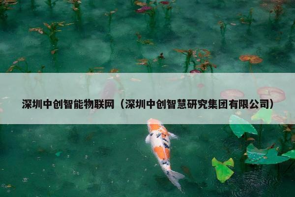 深圳中创智能物联网（深圳中创智慧研究集团有限公司）