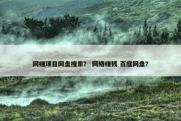 网赚项目网盘搜索？ 网络赚钱 百度网盘？