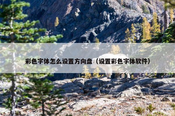 彩色字体怎么设置方向盘（设置彩色字体软件）