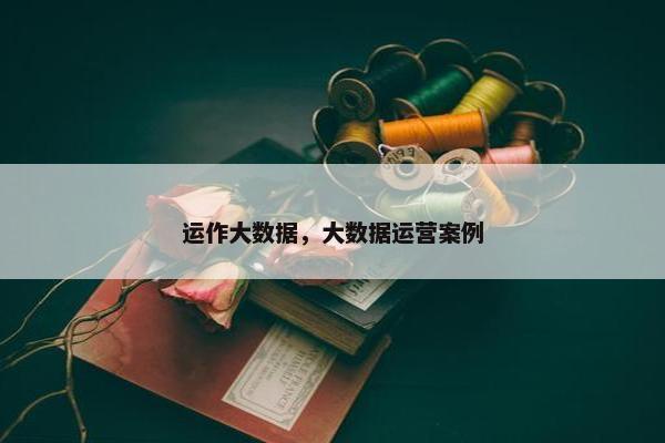 运作大数据，大数据运营案例