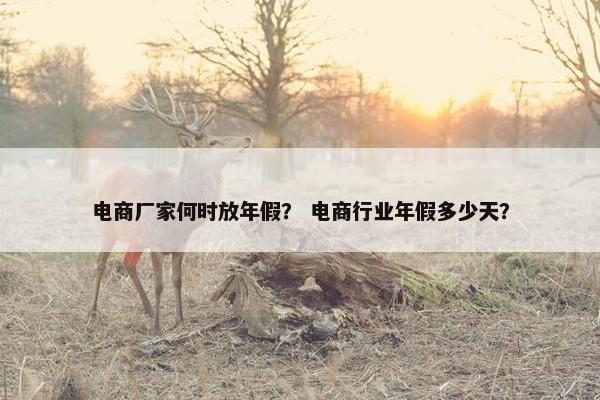 电商厂家何时放年假？ 电商行业年假多少天？