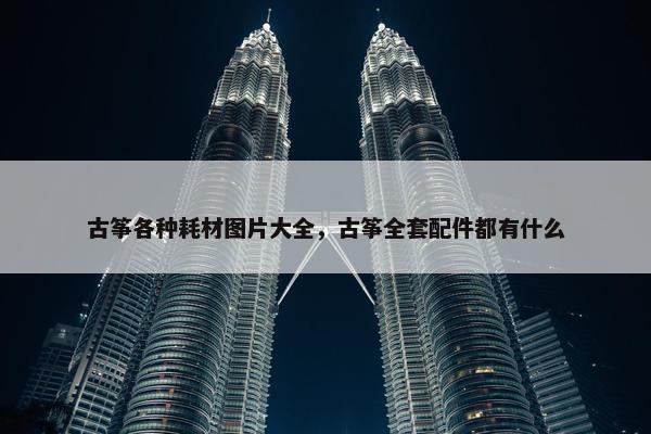 古筝各种耗材图片大全，古筝全套配件都有什么