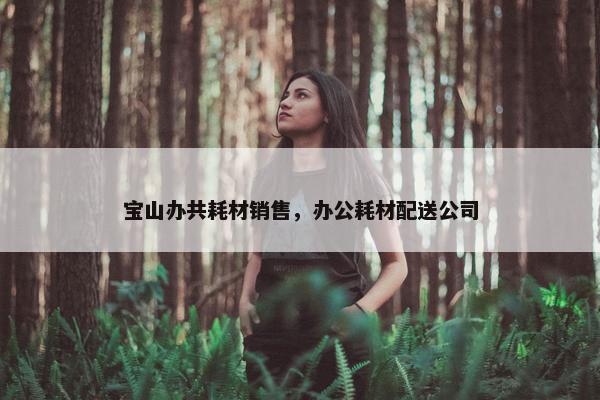 宝山办共耗材销售，办公耗材配送公司