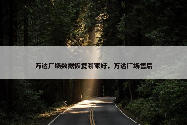 万达广场数据恢复哪家好，万达广场售后
