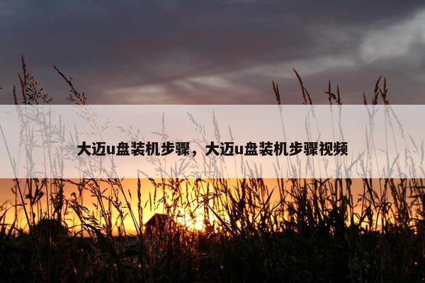 大迈u盘装机步骤，大迈u盘装机步骤视频