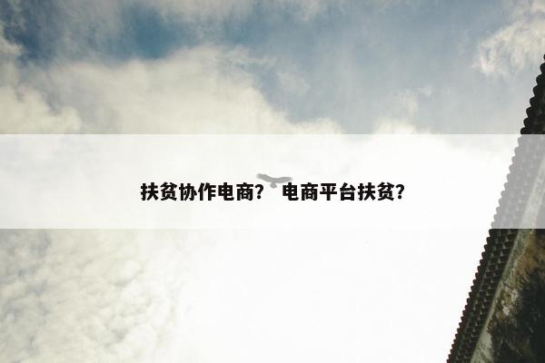 扶贫协作电商？ 电商平台扶贫？