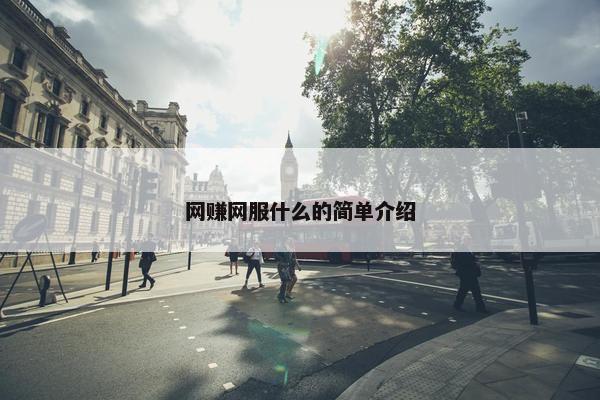 网赚网服什么的简单介绍