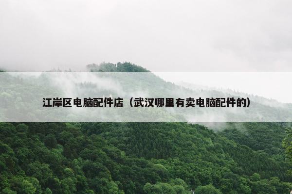江岸区电脑配件店（武汉哪里有卖电脑配件的）