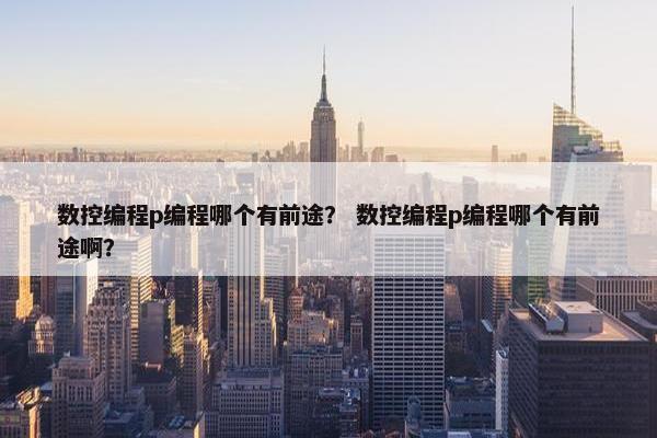 数控编程p编程哪个有前途？ 数控编程p编程哪个有前途啊？
