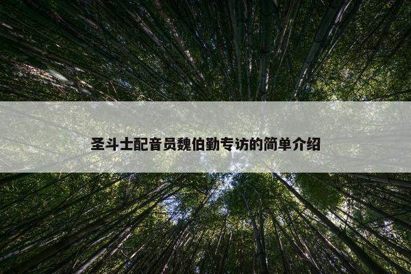 圣斗士配音员魏伯勤专访的简单介绍