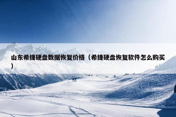 山东希捷硬盘数据恢复价格（希捷硬盘恢复软件怎么购买）
