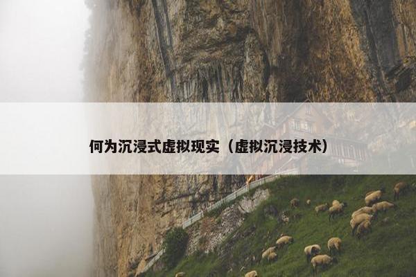 何为沉浸式虚拟现实（虚拟沉浸技术）