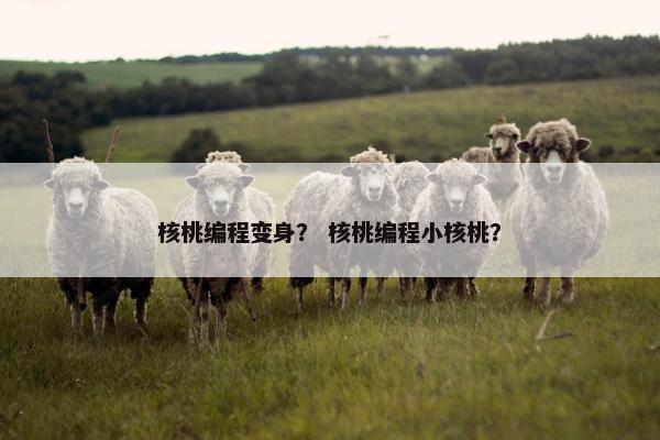核桃编程变身？ 核桃编程小核桃？
