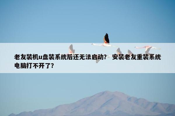 老友装机u盘装系统后还无法启动？ 安装老友重装系统电脑打不开了？