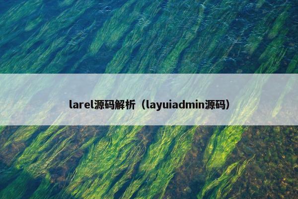 larel源码解析（layuiadmin源码）