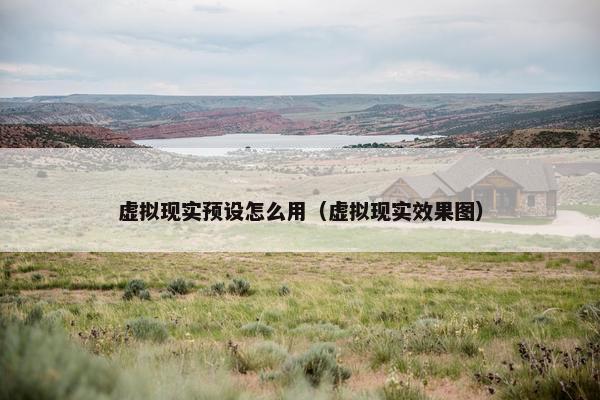 虚拟现实预设怎么用（虚拟现实效果图）