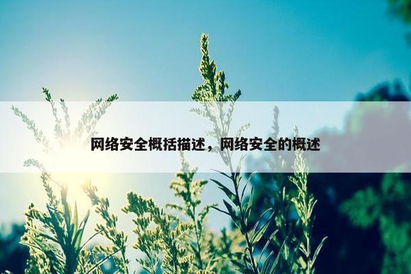 网络安全概括描述，网络安全的概述