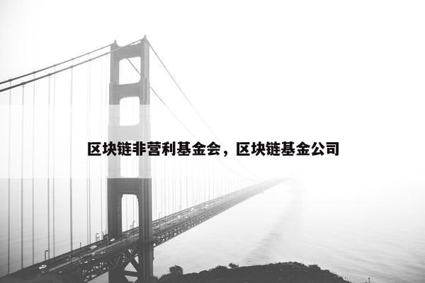 区块链非营利基金会，区块链基金公司