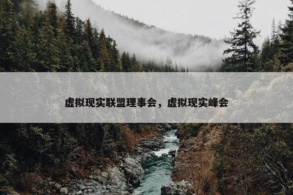 虚拟现实联盟理事会，虚拟现实峰会