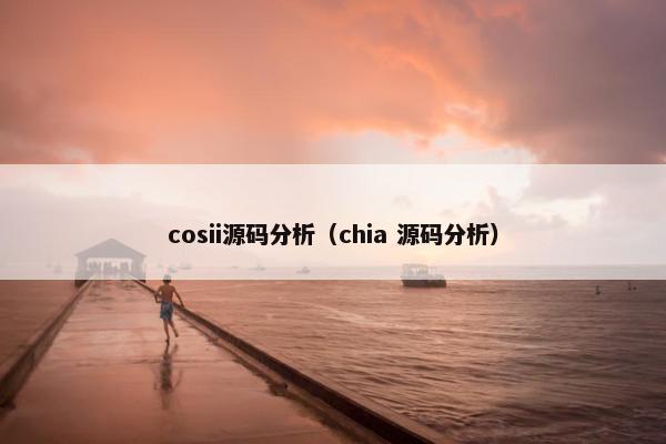 cosii源码分析（chia 源码分析）