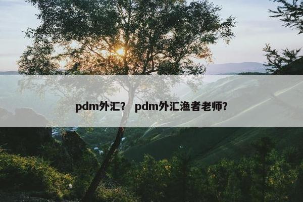 pdm外汇？ pdm外汇渔者老师？