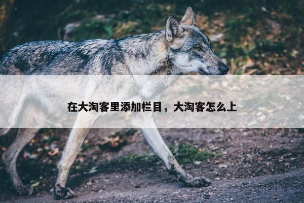 在大淘客里添加栏目，大淘客怎么上