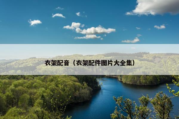 衣架配音（衣架配件图片大全集）