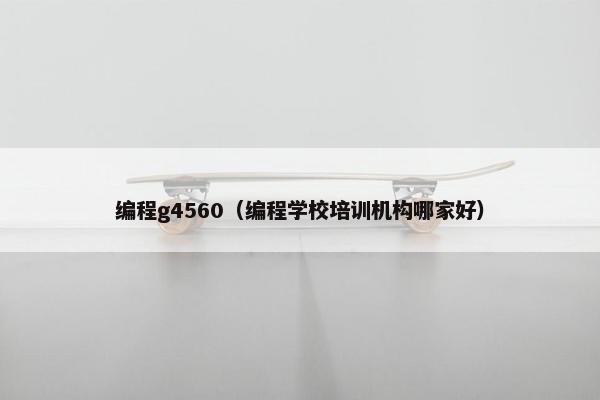 编程g4560（编程学校培训机构哪家好）