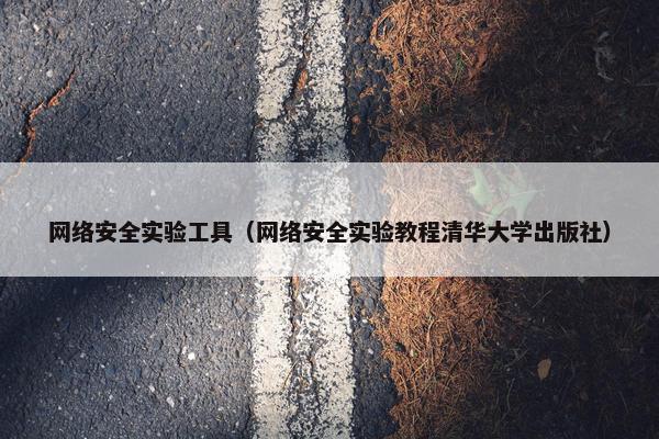 网络安全实验工具（网络安全实验教程清华大学出版社）