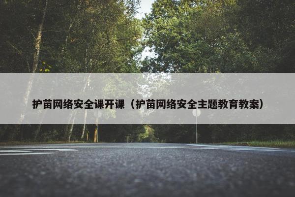 护苗网络安全课开课（护苗网络安全主题教育教案）
