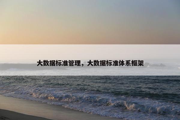 大数据标准管理，大数据标准体系框架