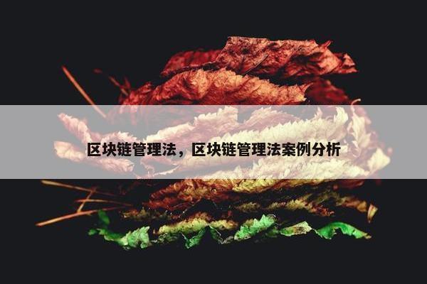 区块链管理法，区块链管理法案例分析