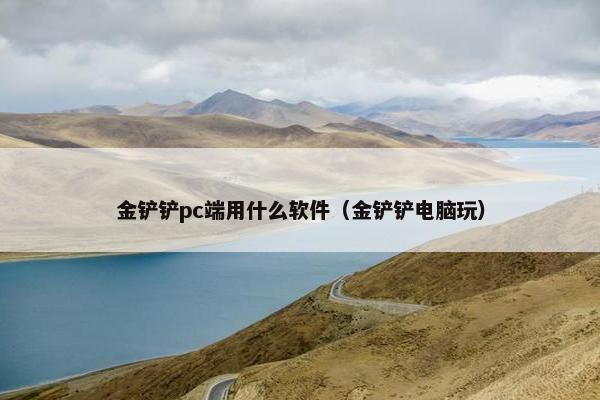 金铲铲pc端用什么软件（金铲铲电脑玩）