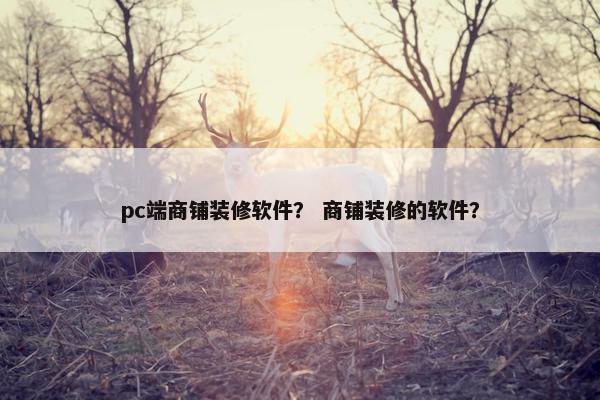 pc端商铺装修软件？ 商铺装修的软件？