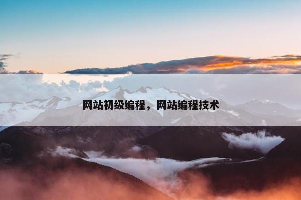 网站初级编程，网站编程技术