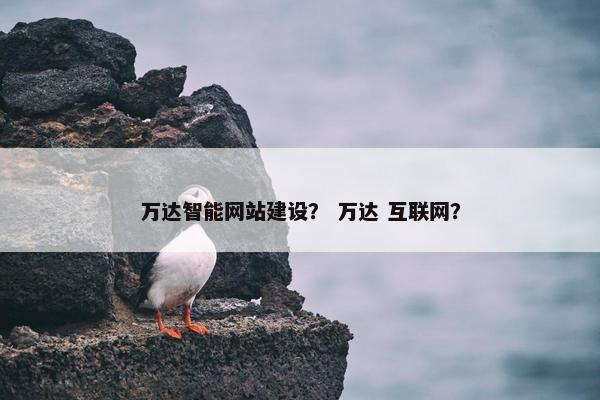 万达智能网站建设？ 万达 互联网？