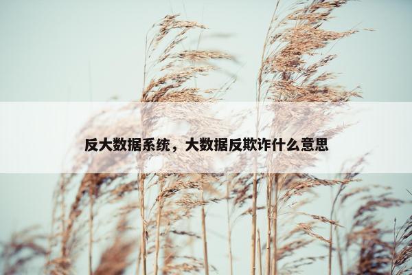 反大数据系统，大数据反欺诈什么意思