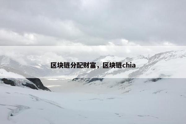 区块链分配财富，区块链chia