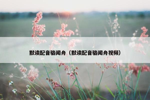 默读配音骆闻舟（默读配音骆闻舟视频）