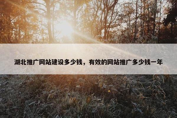 湖北推广网站建设多少钱，有效的网站推广多少钱一年