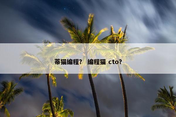 蒂猫编程？ 编程猫 cto？