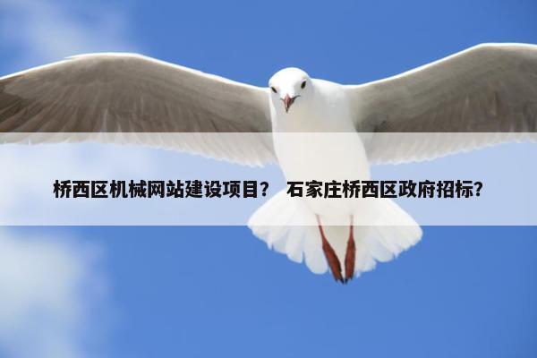桥西区机械网站建设项目？ 石家庄桥西区政府招标？