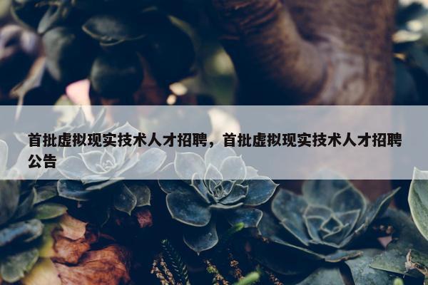 首批虚拟现实技术人才招聘，首批虚拟现实技术人才招聘公告