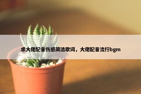 求大佬配音伤感简洁歌词，大佬配音流行bgm