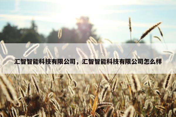 汇智智能科技有限公司，汇智智能科技有限公司怎么样
